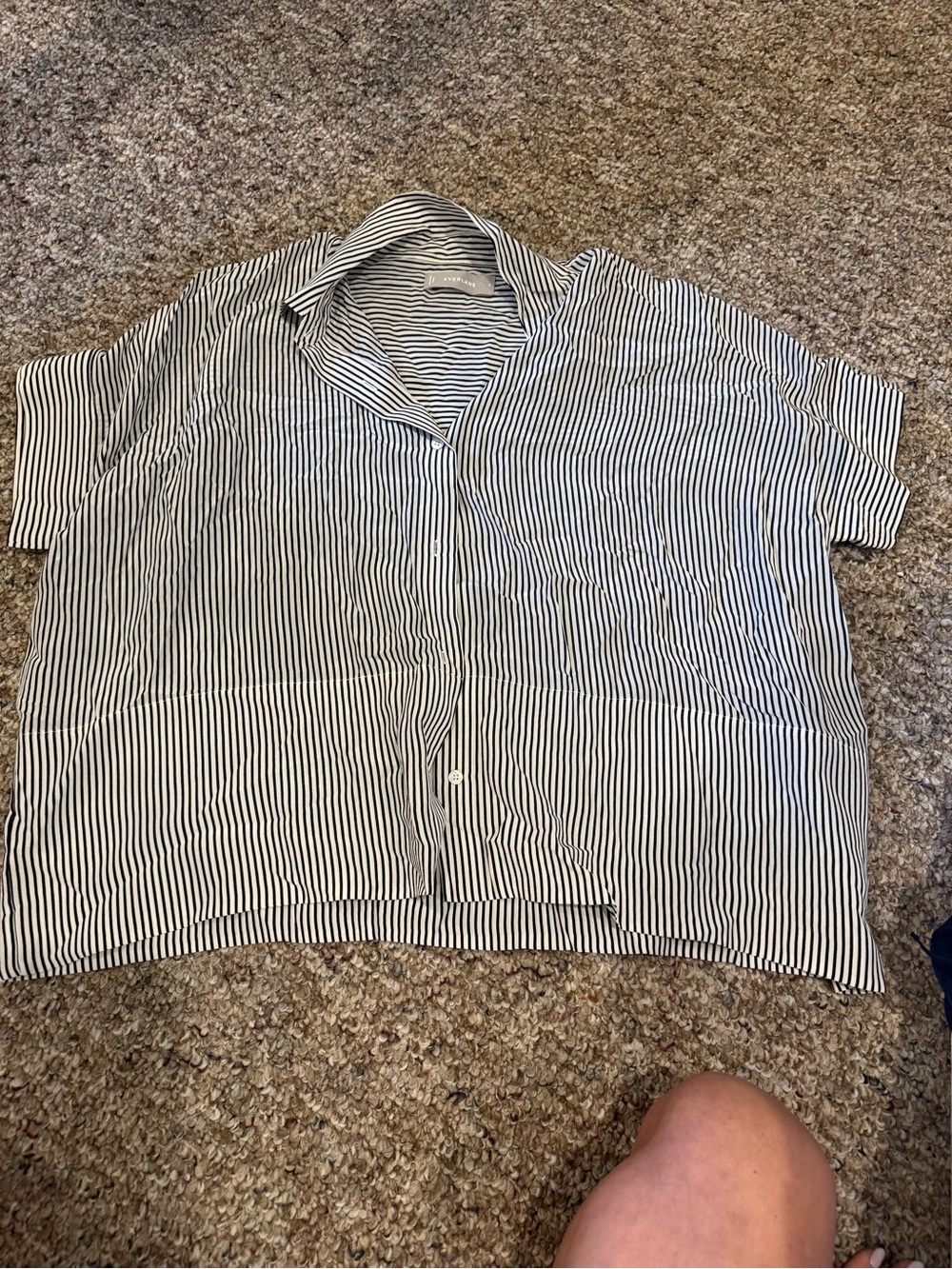 Everlane Black and White Striped Short-Sleeve Button-Up Blouse